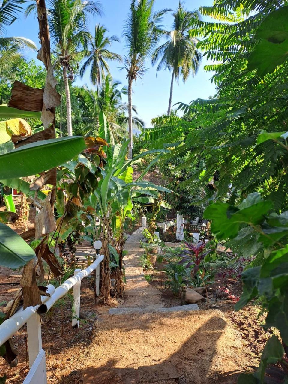 Le Chissioua Hotel Sada Exterior photo